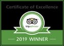 TripAdvisor Certificate